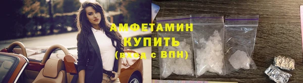 винт Вяземский