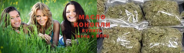 винт Вяземский