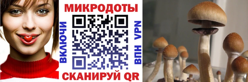 это клад  mega ссылки  Галлюциногенные грибы прущие грибы  Можга  дарнет шоп 