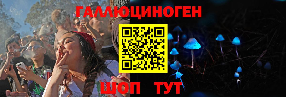 Можга  магазин    Вход с VPN  Галлюциногенные грибы Psilocybine cubensis 